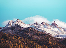 华体会入口-中国女篮轻装上阵